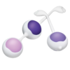 Wellness 3-Step Progressive Kegel Training Kit - Image 2
